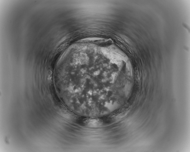 X0000096480507200802071923