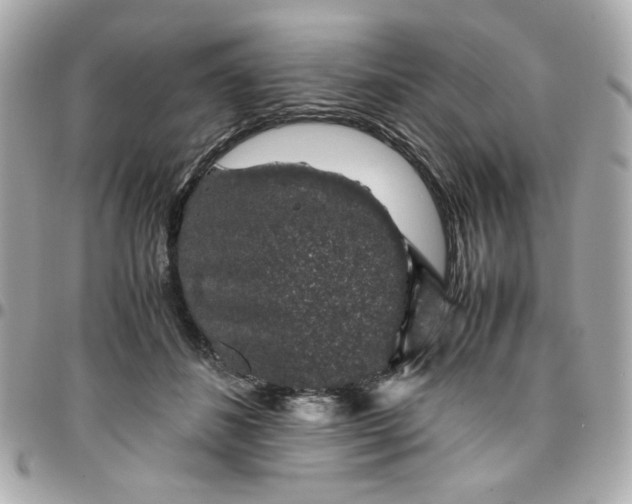 X0000096480508200802071923