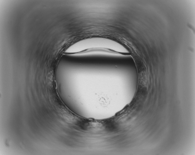 X0000096480509200802071923