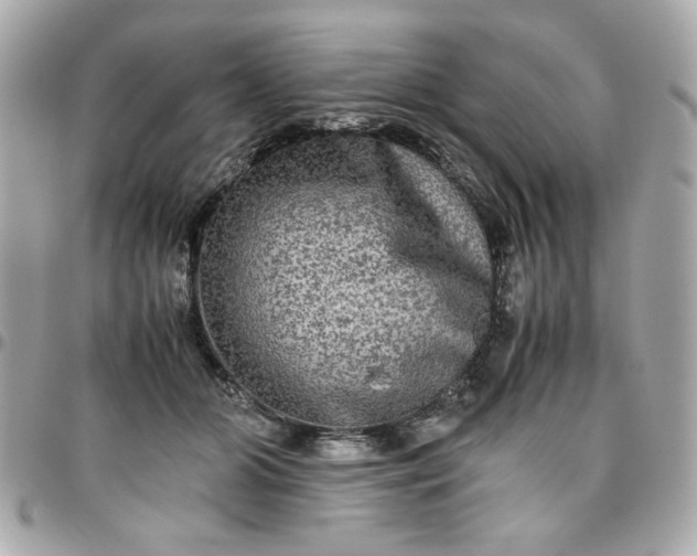 X0000096480510200802071923