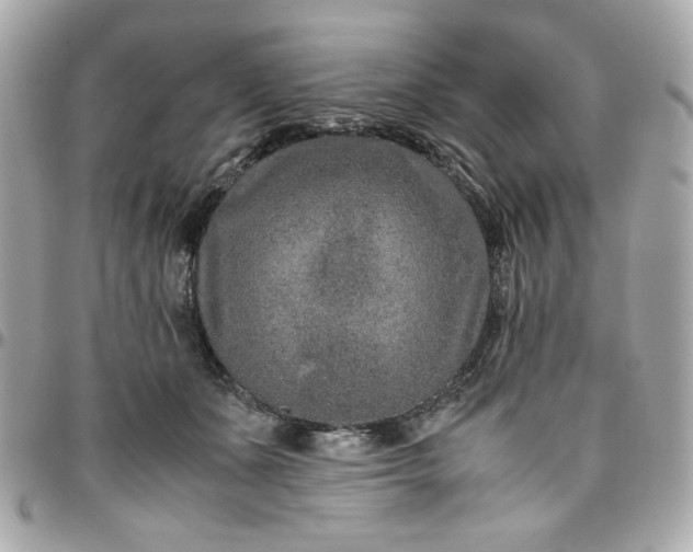 X0000096480511200802071923