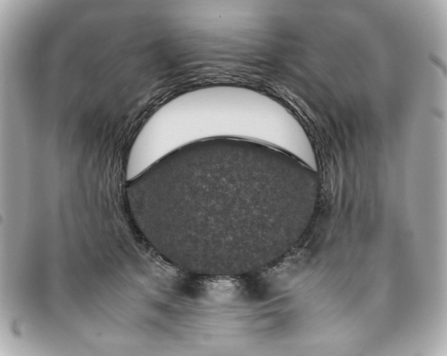 X0000096480513200802071923