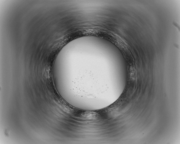 X0000096480514200802071923