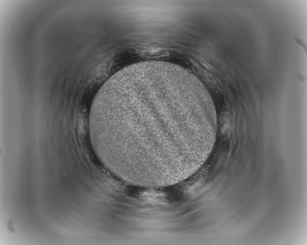 X0000096480515200802071923