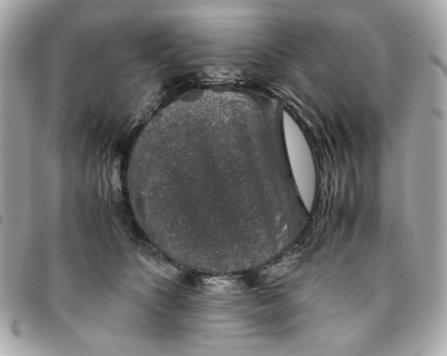 X0000096480516200802071923