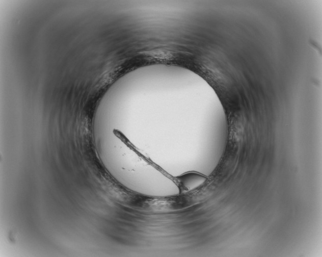 X0000096480518200802071923