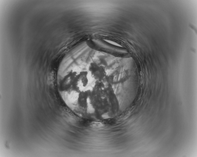 X0000096480519200802071923