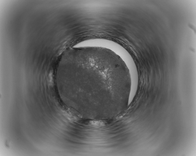 X0000096480520200802071923