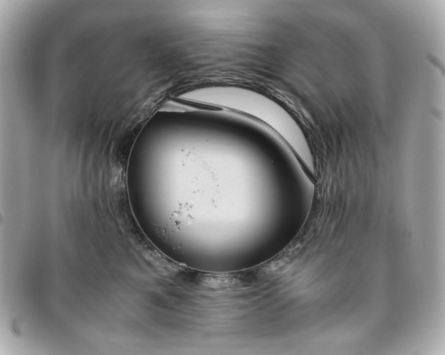 X0000096480521200802071923