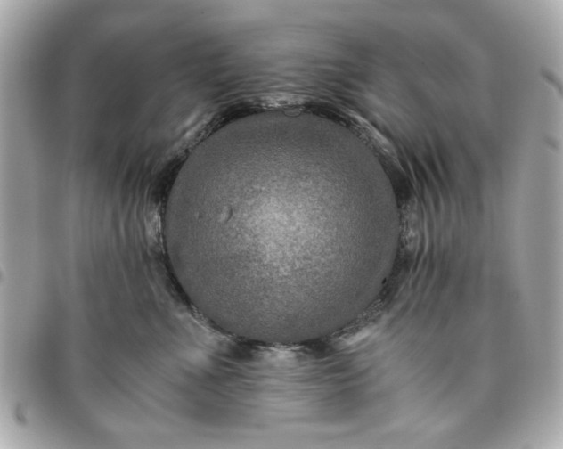 X0000096480523200802071923