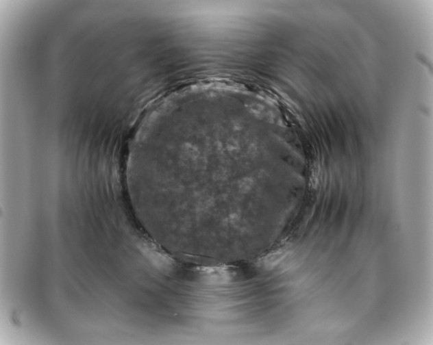 X0000096480524200802071923