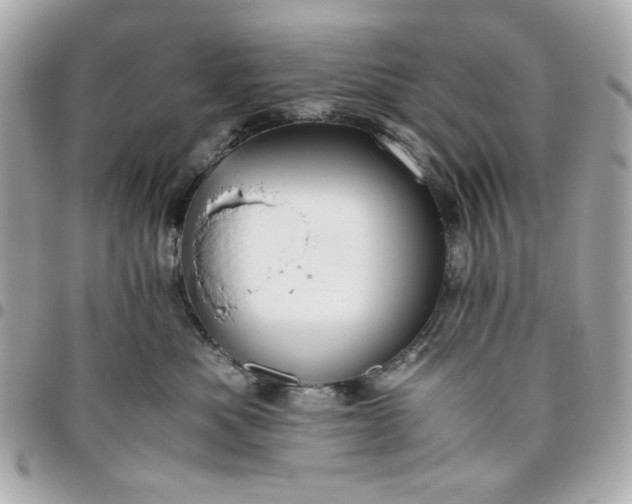 X0000096480525200802071923