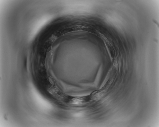 X0000096480526200802071923