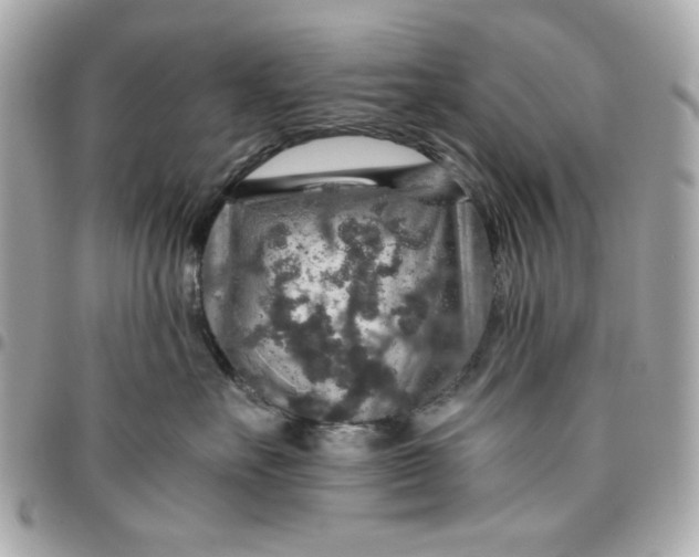 X0000096480527200802071923