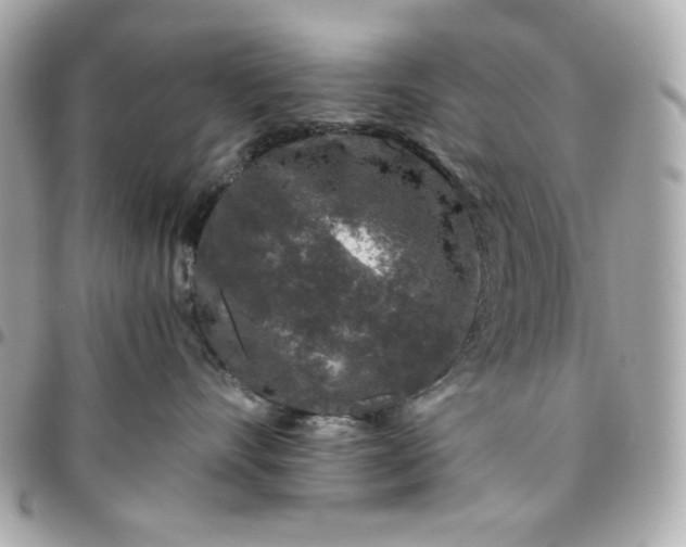 X0000096480528200802071923