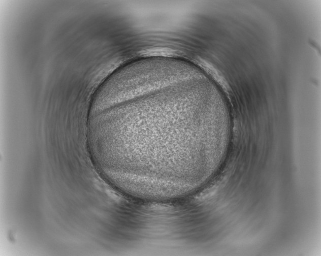 X0000096480529200802071922