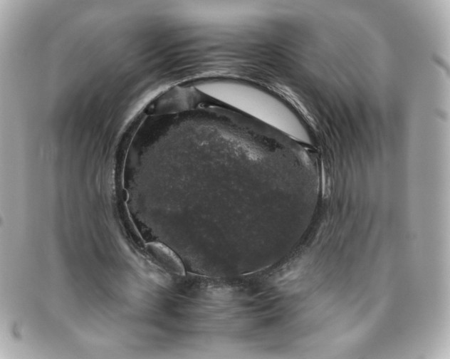 X0000096480531200802071922