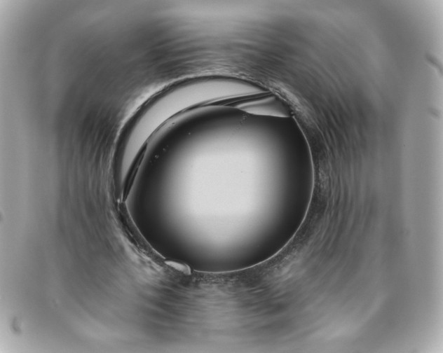 X0000096480532200802071922