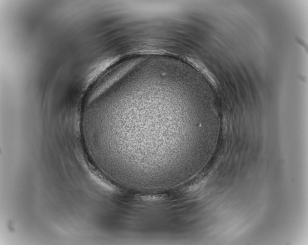 X0000096480533200802071922