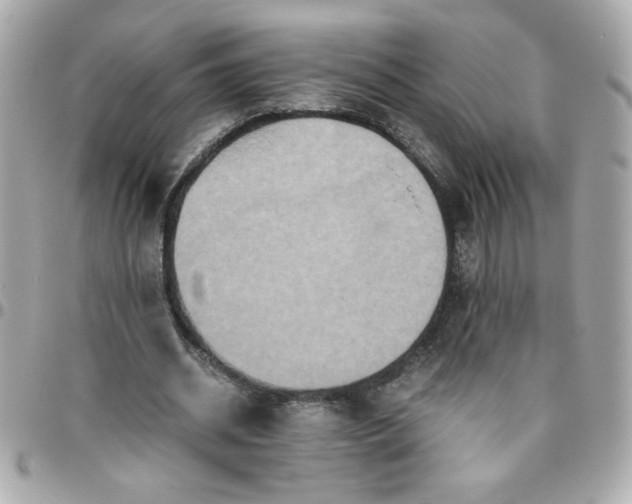 X0000096480534200802071922