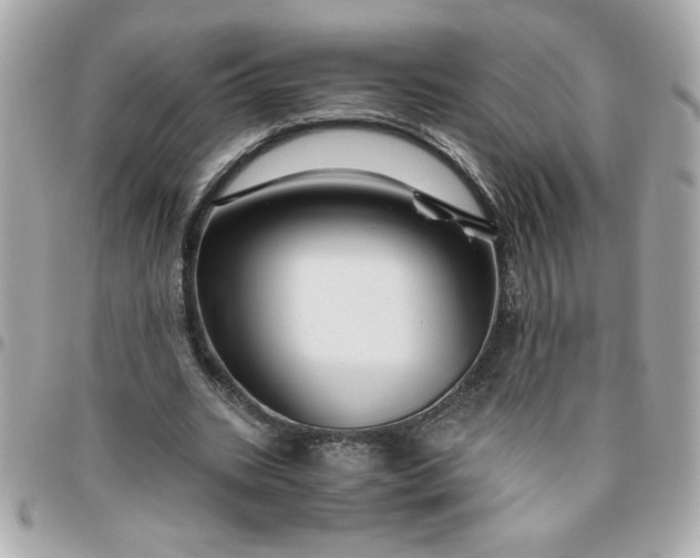 X0000096480535200802071922