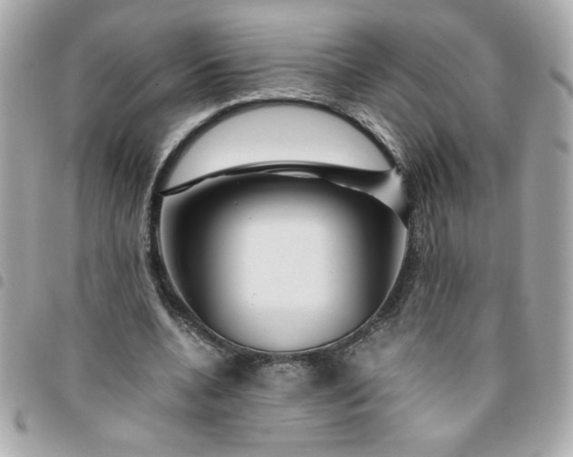 X0000096480536200802071922