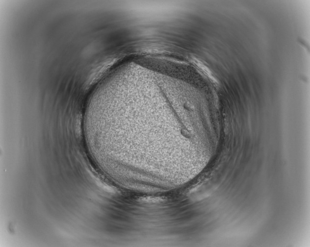 X0000096480537200802071922