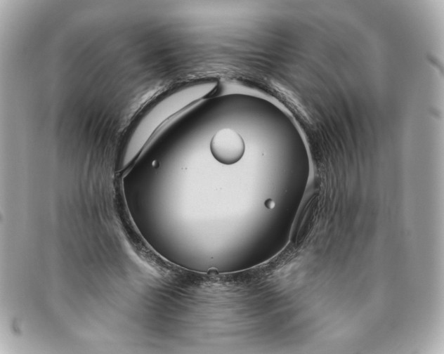 X0000096480538200802071922