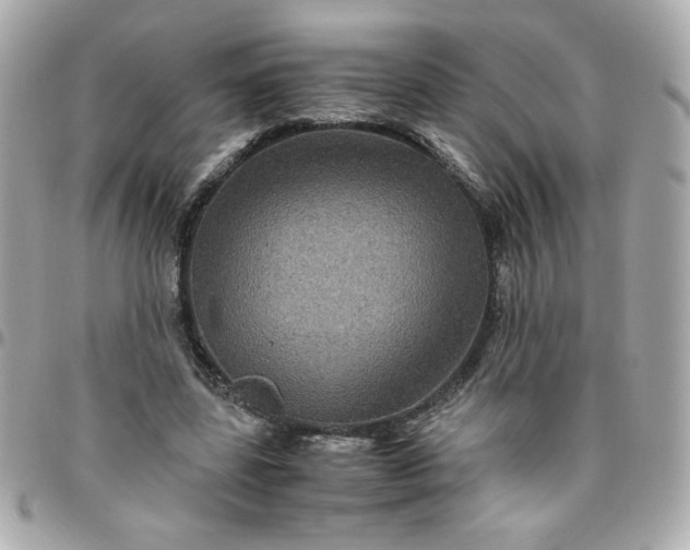 X0000096480539200802071922