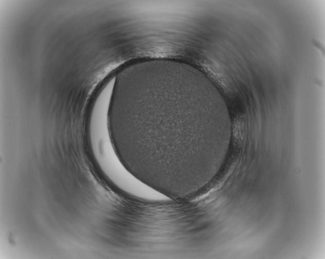 X0000096480540200802071922