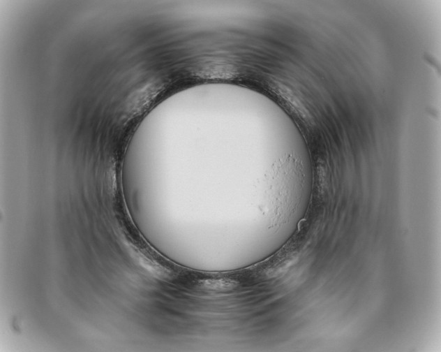 X0000096480541200802071922