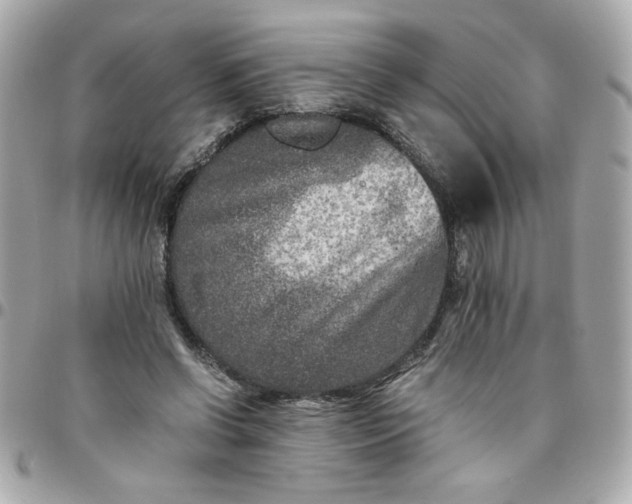 X0000096480542200802071922