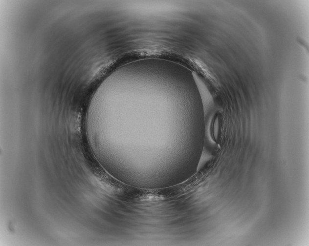 X0000096480543200802071922