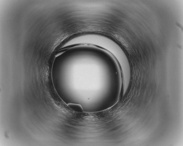 X0000096480544200802071922