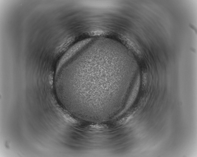 X0000096480545200802071922