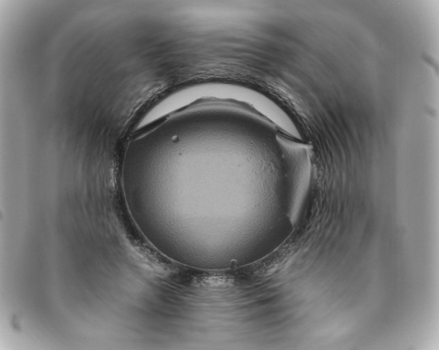 X0000096480546200802071922