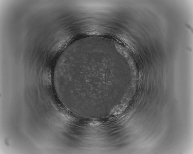 X0000096480547200802071922