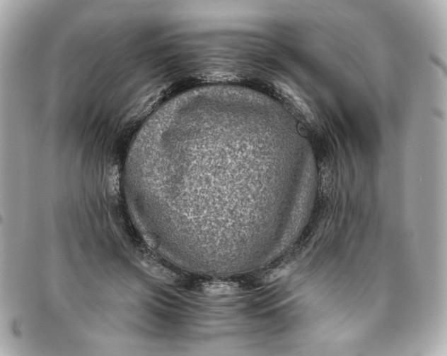 X0000096480549200802071922