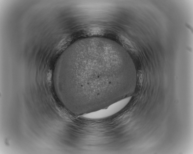 X0000096480550200802071922