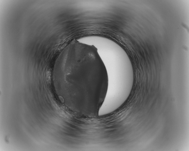 X0000096480551200802071922