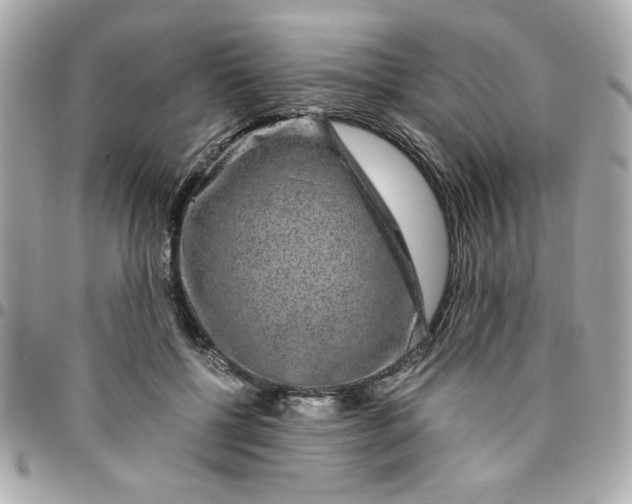 X0000096480552200802071922