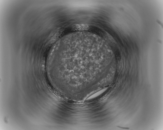 X0000096480553200802071922