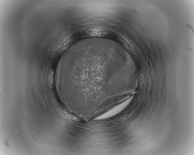 X0000096480554200802071922