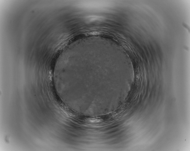 X0000096480555200802071922