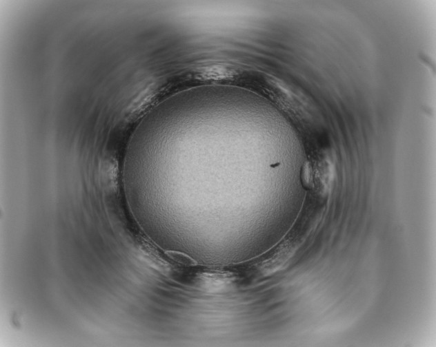 X0000096480556200802071922