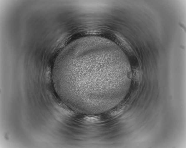 X0000096480557200802071922