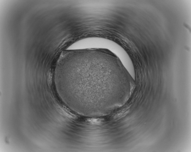 X0000096480558200802071922