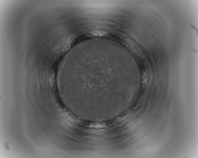 X0000096480559200802071922