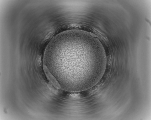 X0000096480560200802071922