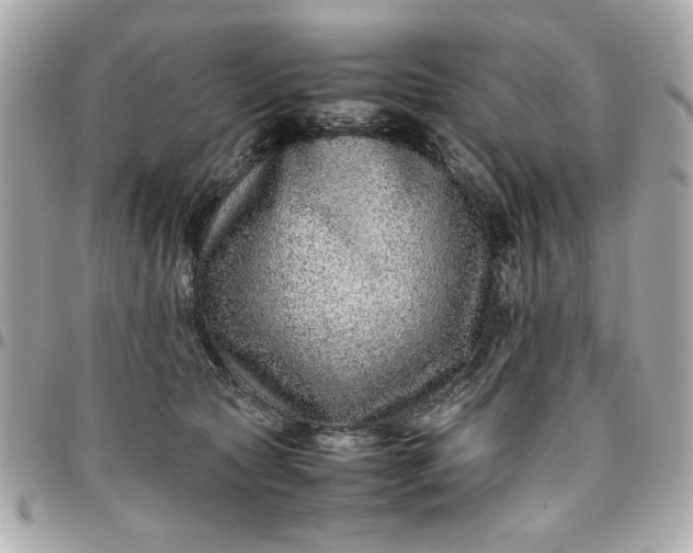 X0000096480561200802071922